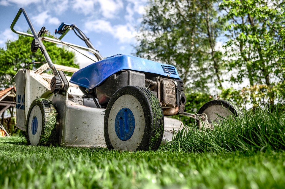 Gardening Tools: Top 5 Must Haves Tools to Maintain a Garden